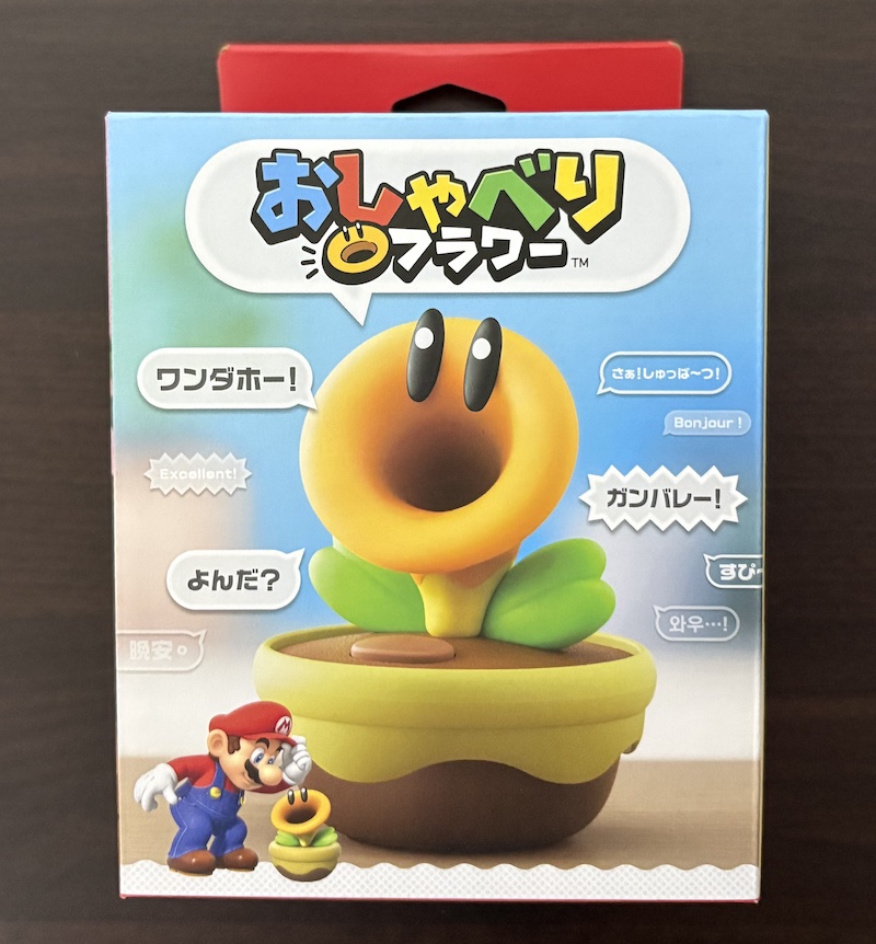 任天堂「おしゃべりフラワー」のパッケージ
